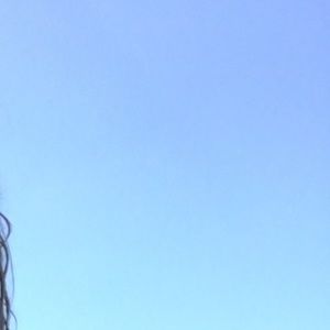 Meet your Posher, Dylan